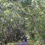 Après la plage, le vélo. La "Cod trail", idéale et agréable pour les cyclistes.